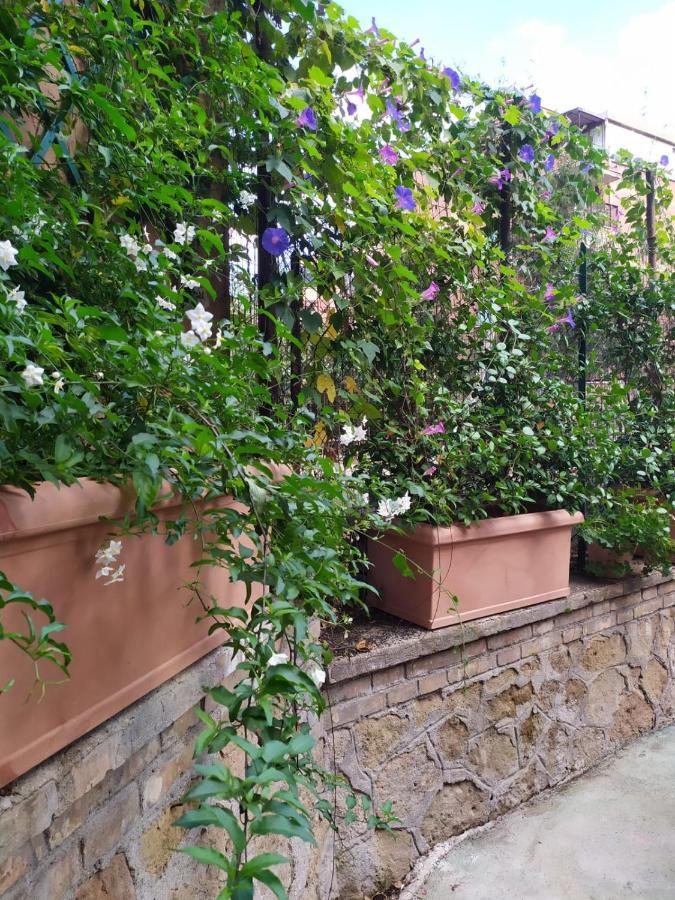 Angolo Sul Giardino روما المظهر الخارجي الصورة