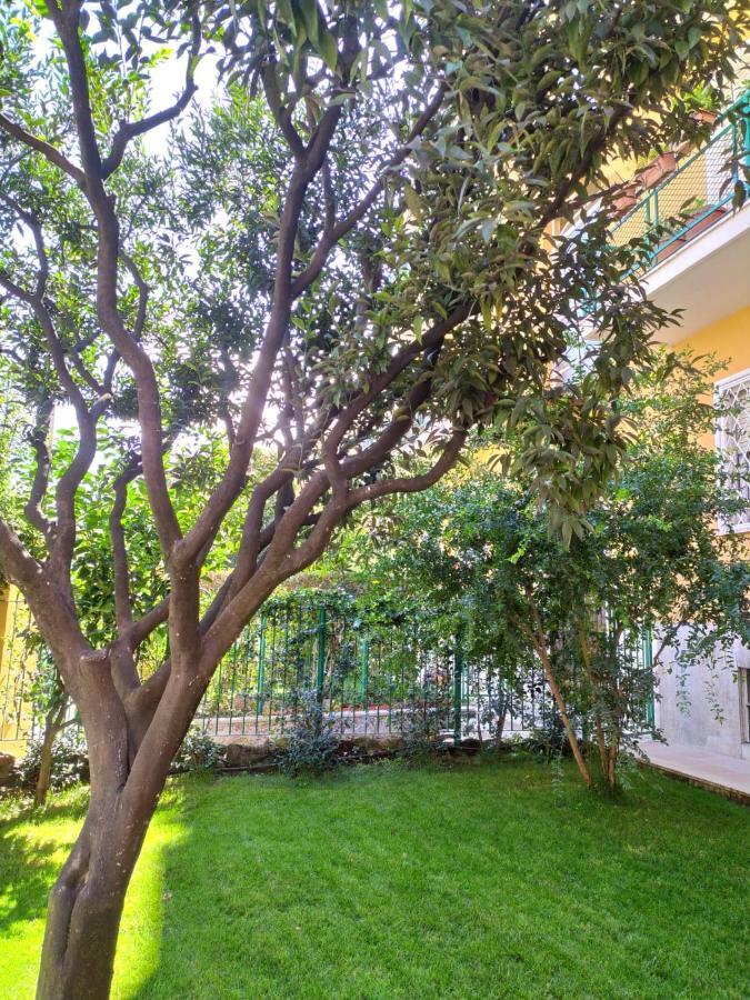 Angolo Sul Giardino روما المظهر الخارجي الصورة